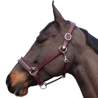 Halter COMFORT – Flags&Cup
