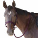 Halter and lunge set BELUGA - Flags&Cup
