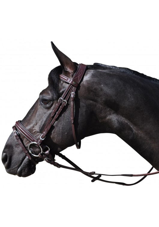 Zaum schwedischem HICKSTEAD