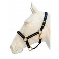 Nylon halter and lunge set NOSSA
