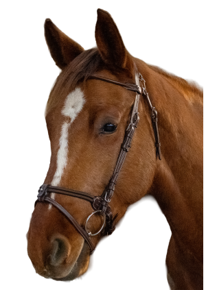 Snaffle GÖTEBORG Flash NB