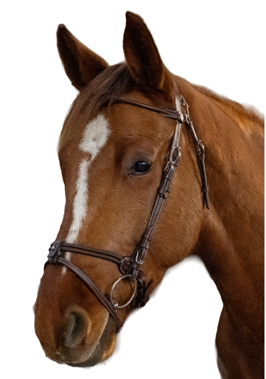 Snaffle GÖTEBORG Flash NB