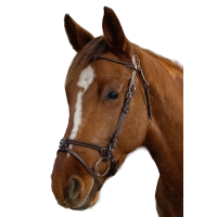 Snaffle GÖTEBORG Flash NB