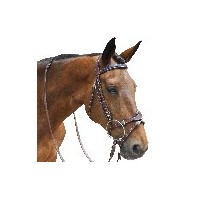 Snaffles & Weymouthbridles